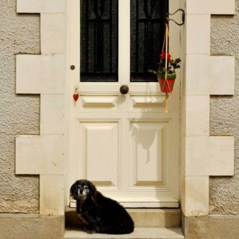 kleinschalige b&b frankrijk